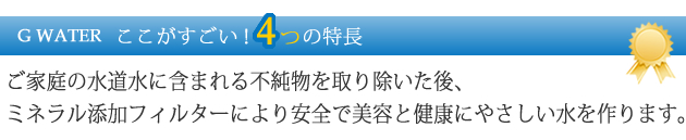 G WATERここがすごい！4つの特長：ご家庭の水道水に含まれる不純物を取り除いた後、ミネラル添加フィルターにより安全で美容と健康にやさしい水を作ります。